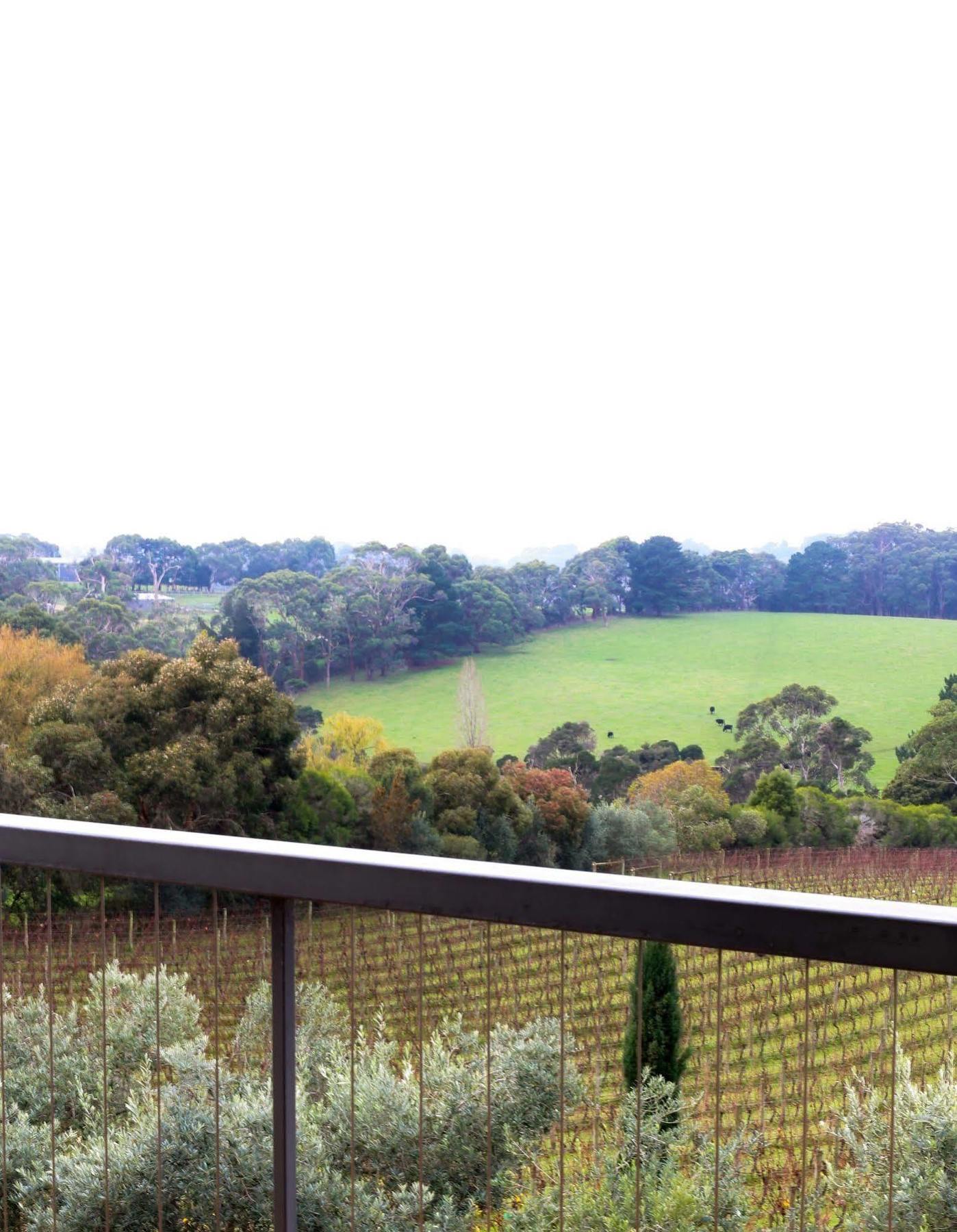 Morning Sun Vineyard Hotel Mornington Peninsula Exterior photo